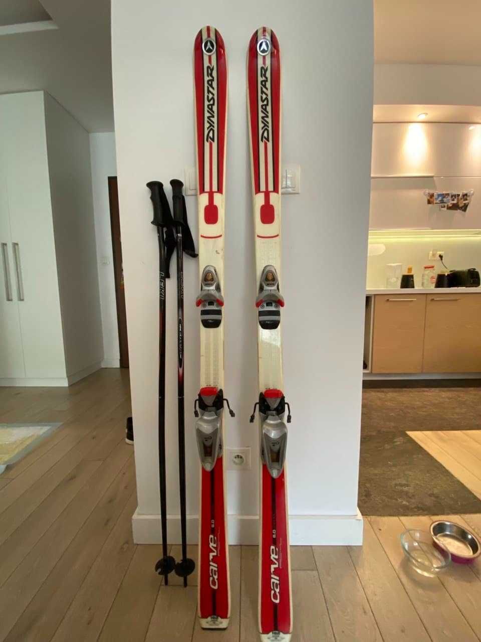 Narty Dynastar 162 cm + Buty Atomic + Set