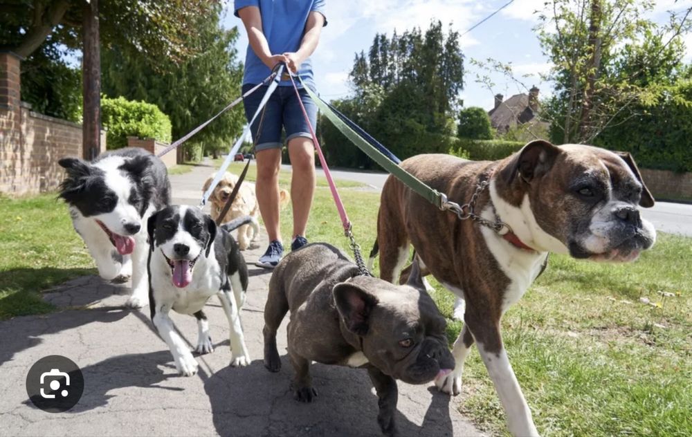 Faço de tudo um pouco part-time, as fotos sao ilustrativas.