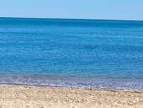 Сдам дачу на лето, море очень близко, свой участок, место для авто