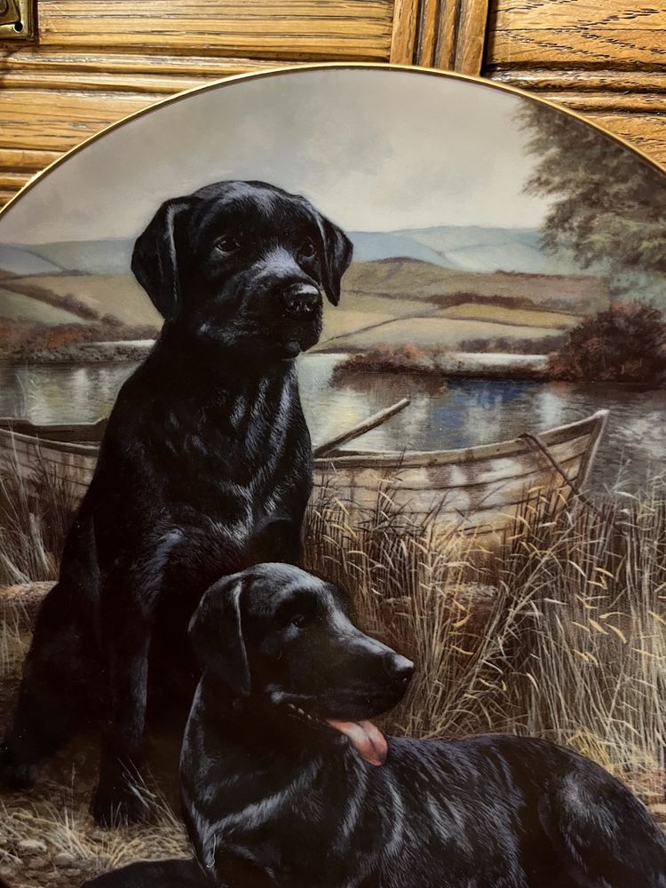 Elegancki Złocony Kolekcjonerski Talerz Porcelana Labrador Pies Obraz