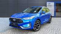 Ford Kuga ST-Line X, 2024r. 1.5 Ecoboost 186 KM A8 Automat