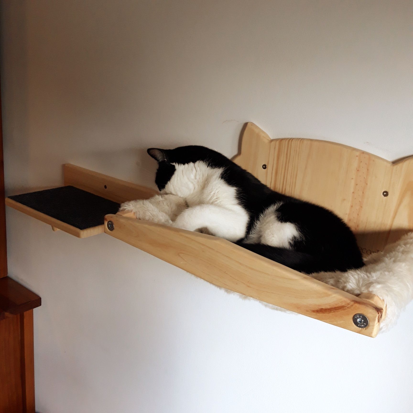 Cama de parede para gato