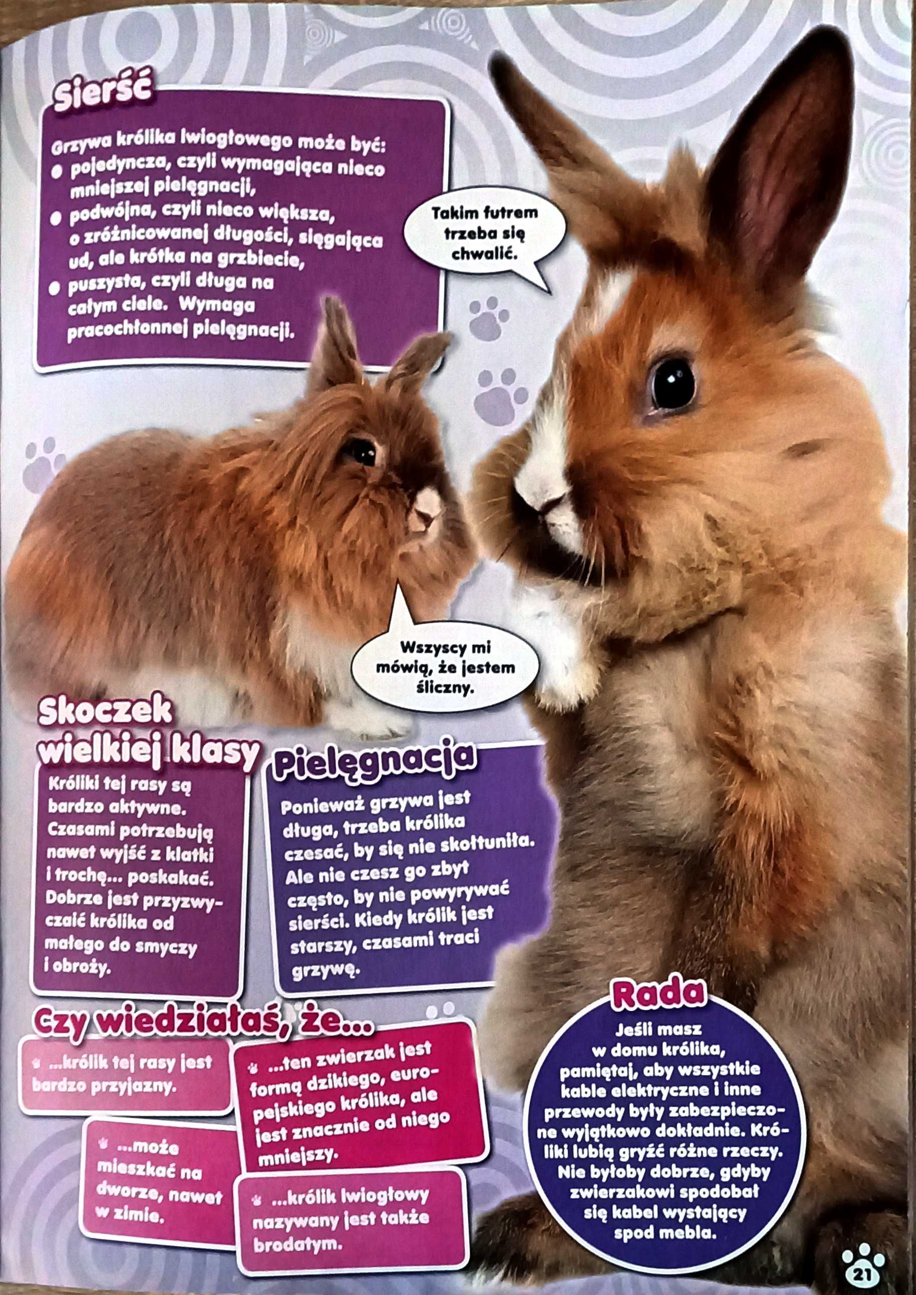 Pimpek dla małych miłośników zwierząt 1/2012