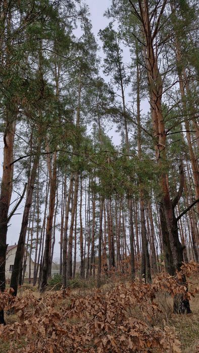 Продам ділянку Новотроянда (Морозівка)