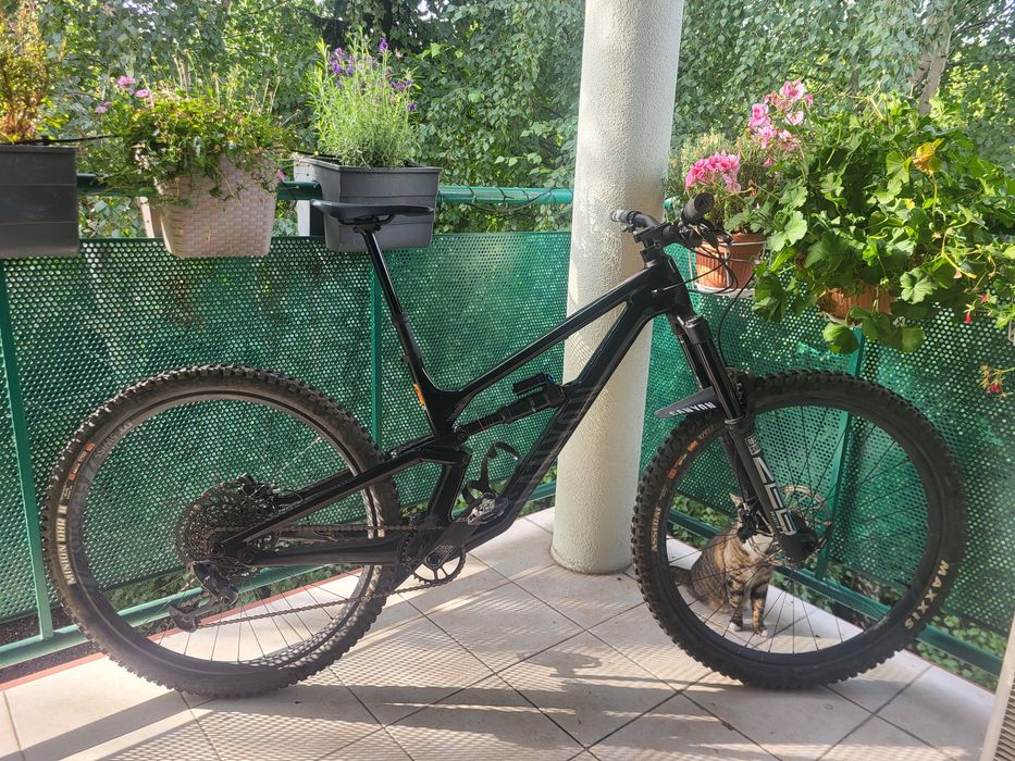 Canyon Torque 29 CF7 2023 rozm M