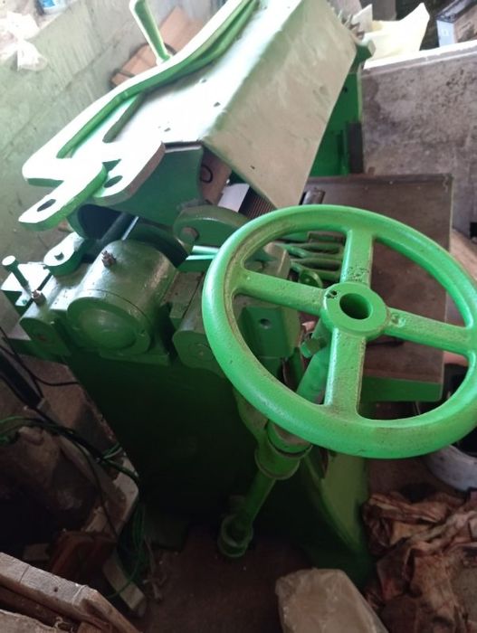 Grubościówka zielona