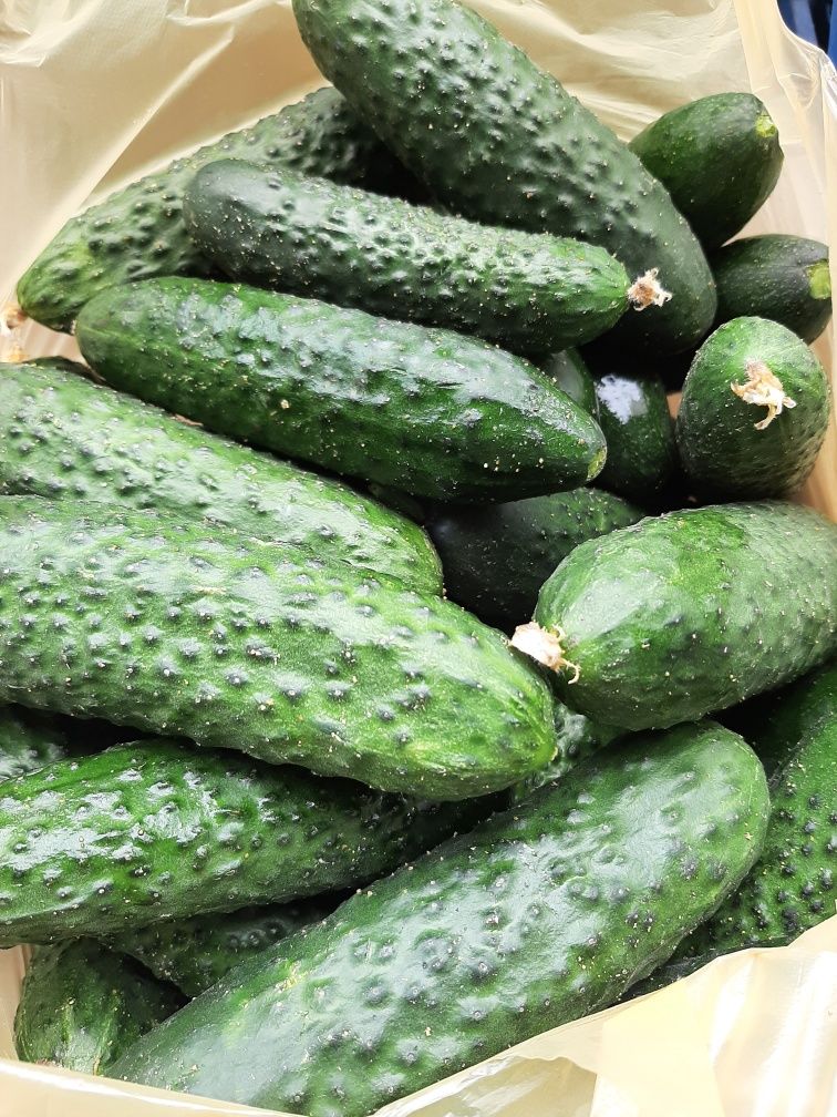 Овочі та продукти з доставкою(картопля)
