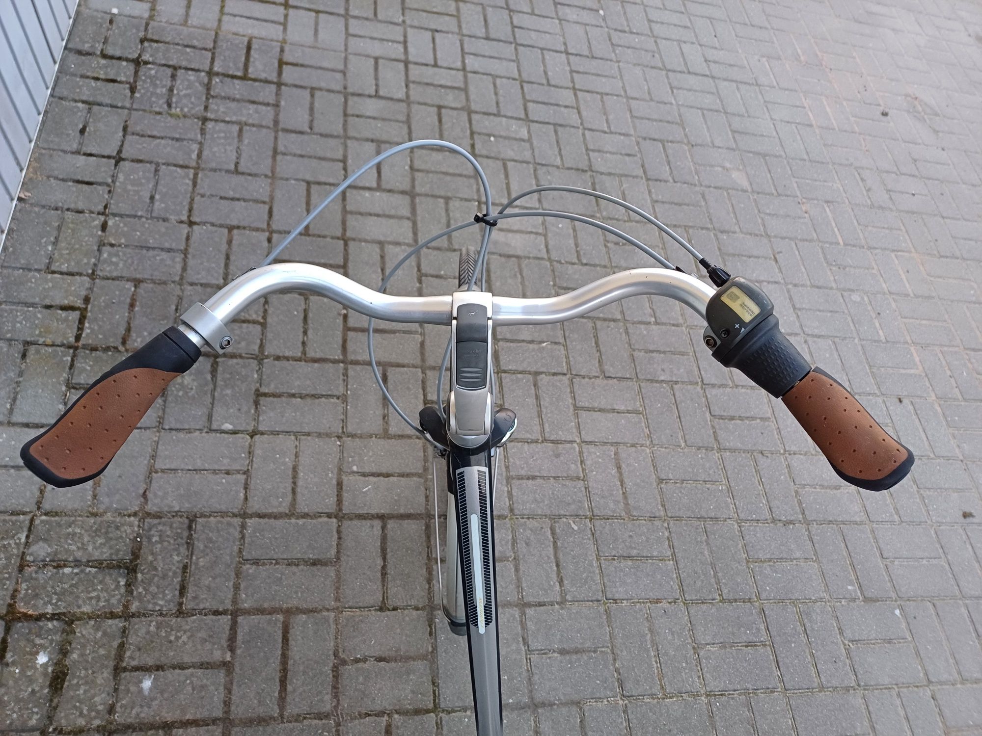 Gazelle Chamonix, rower holenderski