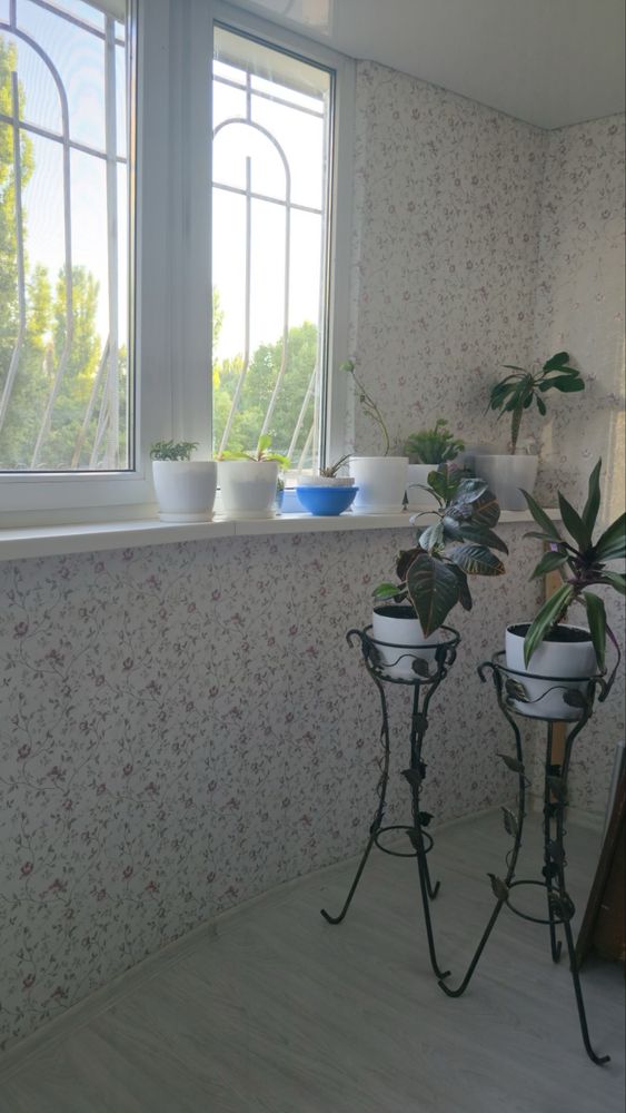Новое поступление, быстрое заселение