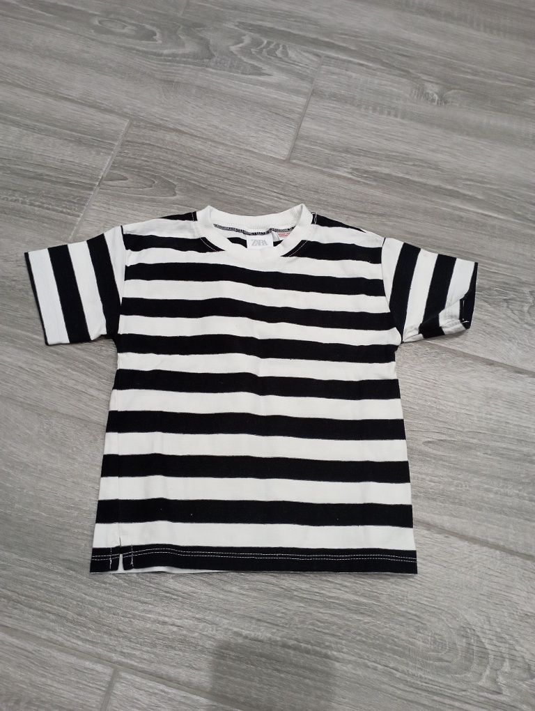 Koszula t-shirt Basic Zara 98 paski