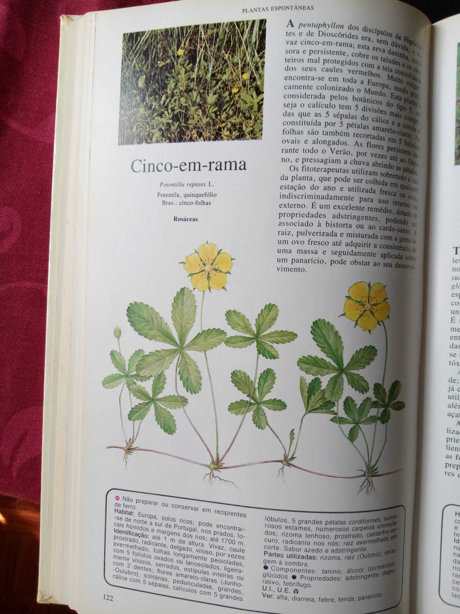 Livros "Plantas que Curam"