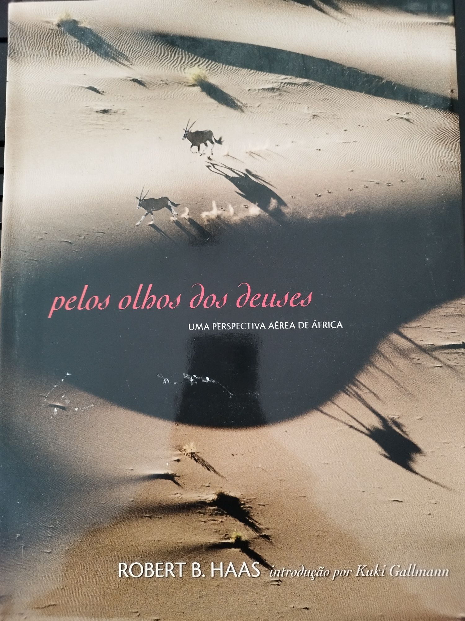 Livro Pelos Olhos dos Deuses