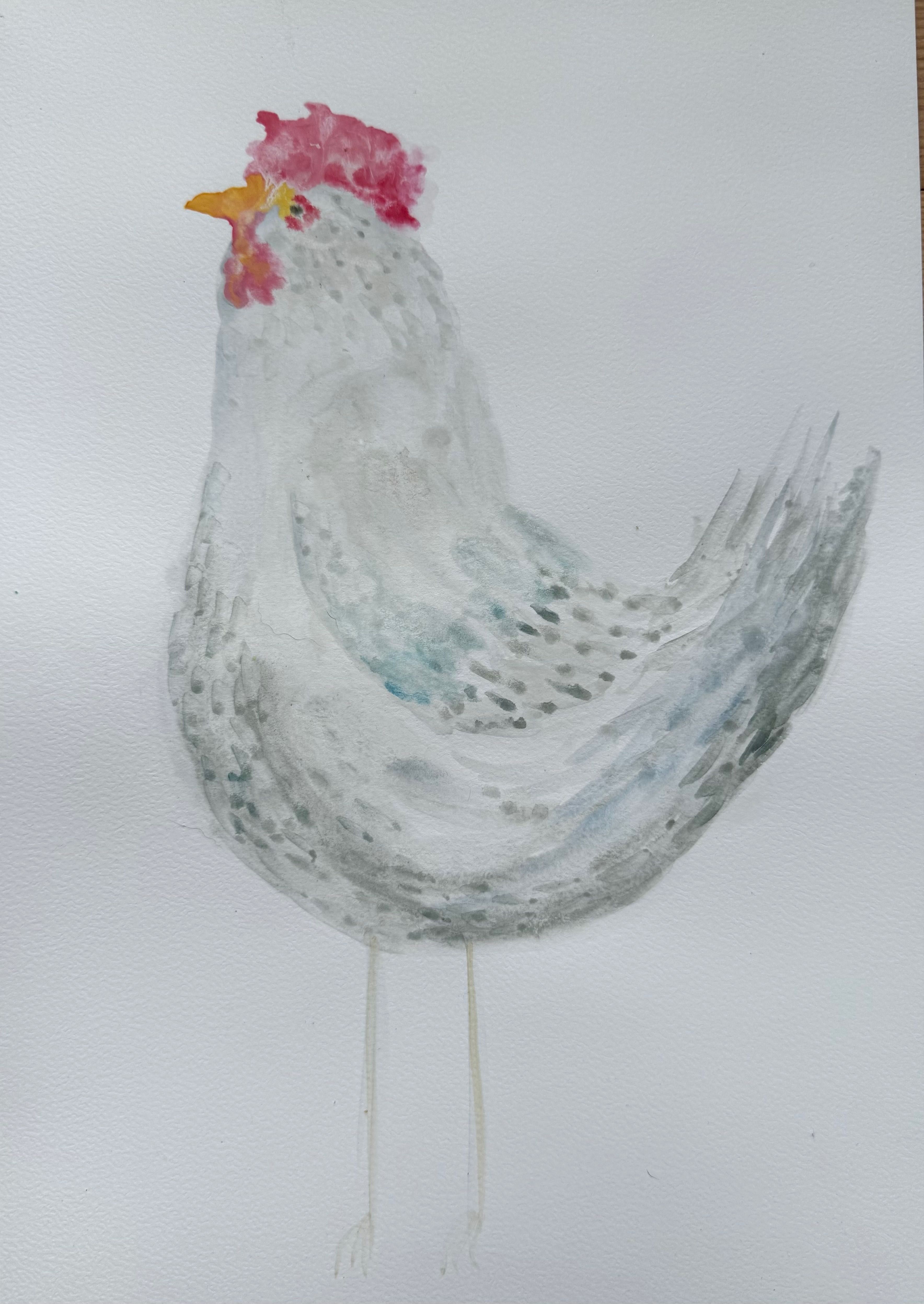Akwarela  “ Kura- Miss podwórka “