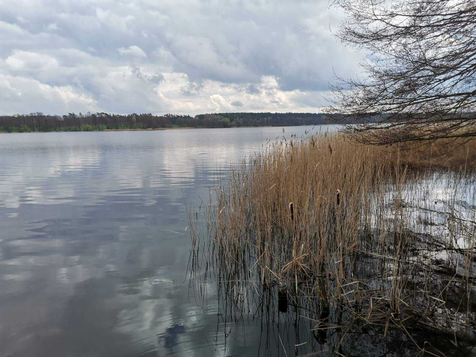 Działka budowlana z linią brzegową jeziora margonińskiego