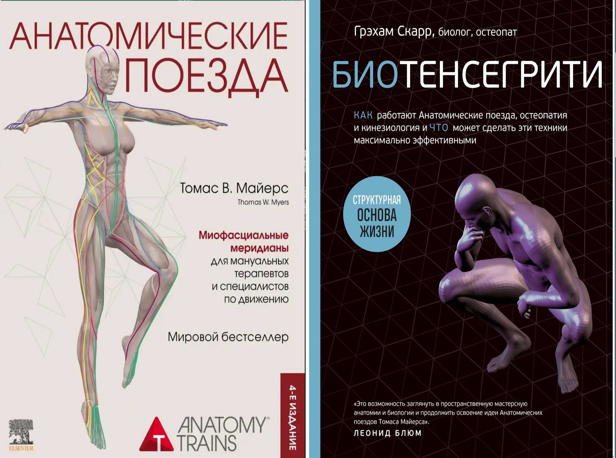 Серия из 10 книг "Анатомические поезда"