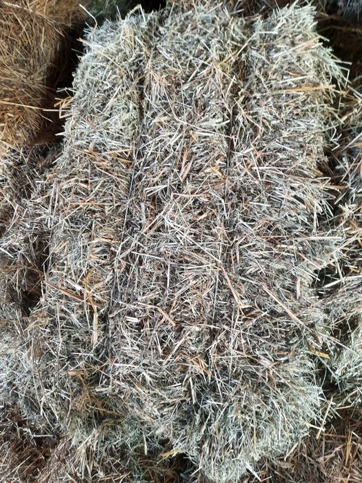 Sprzedam słomę  z przenżyta i owsa żyta