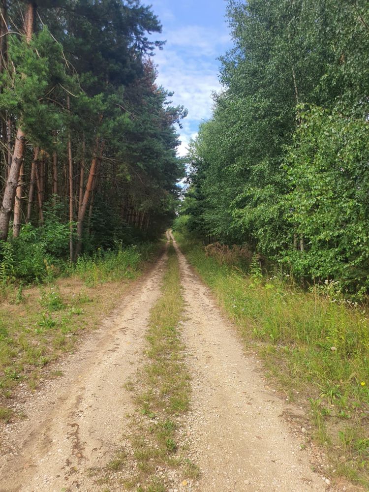 Domek letniskowy blisko Busko Zdrój