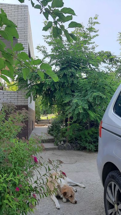 СРОЧНАЯ ПРОДАЖА. Дом 2 этажа, цокольный, Зеленый, Шевченковский