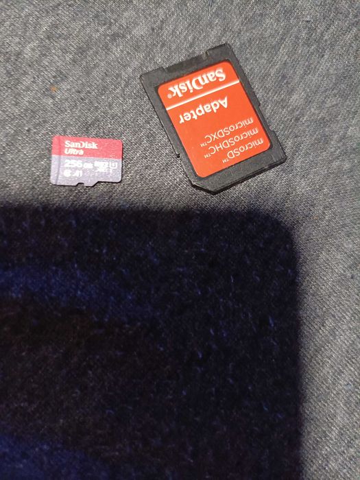 Karta pamięci microSD 256GB SanDisk Ultra U1 A1