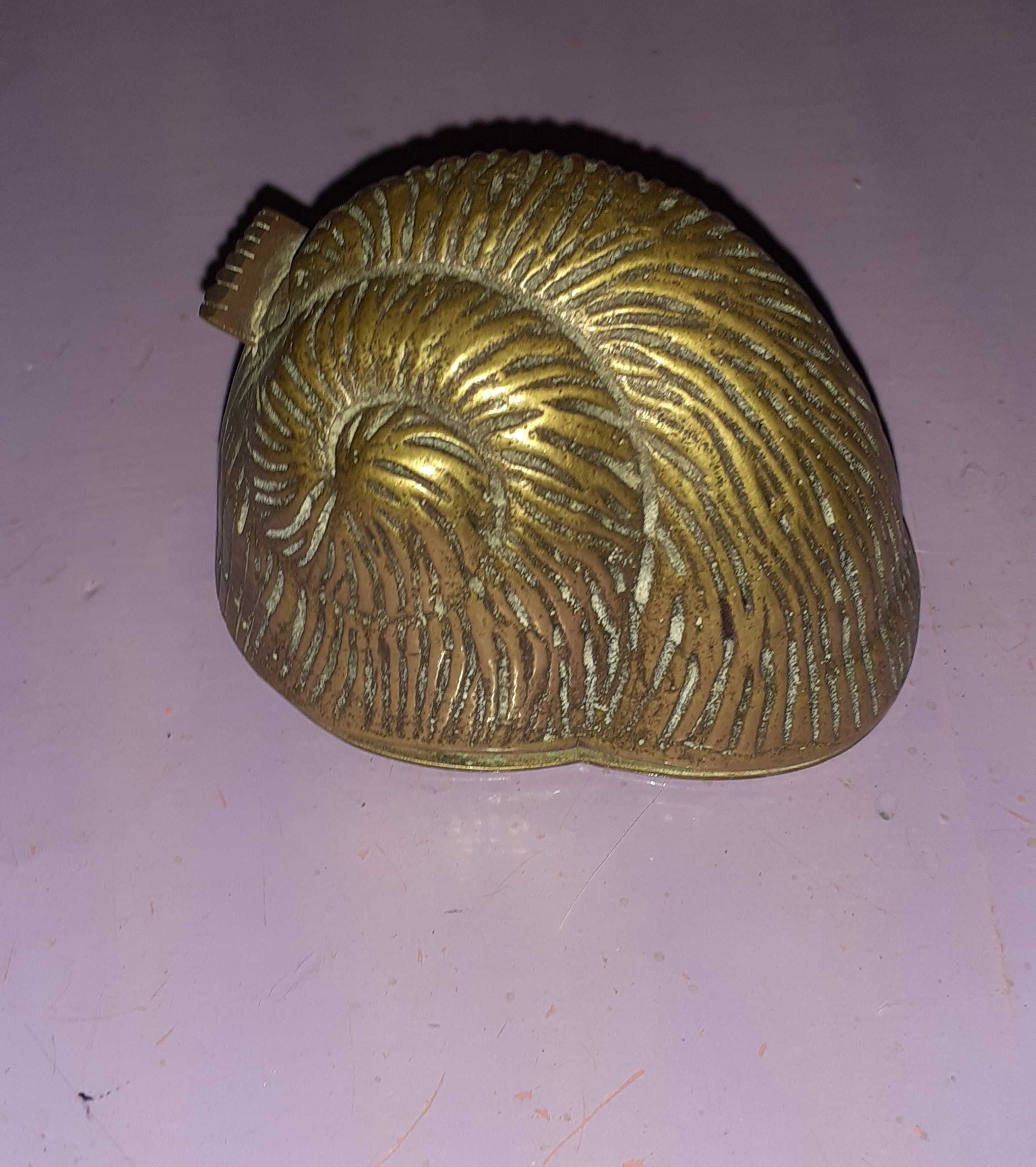 Caracol Bronze Antigo/fita cola