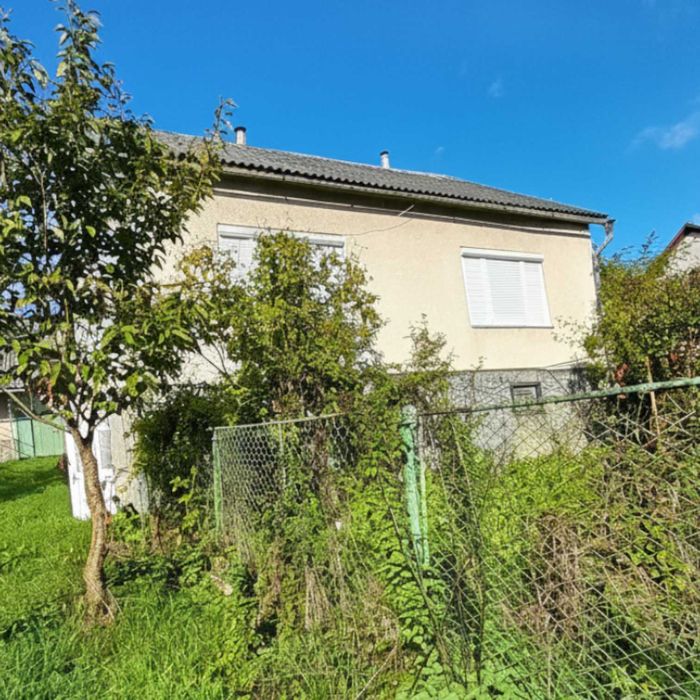 Здаю в оренду житловий будинок з меблями та земельною ділянкою