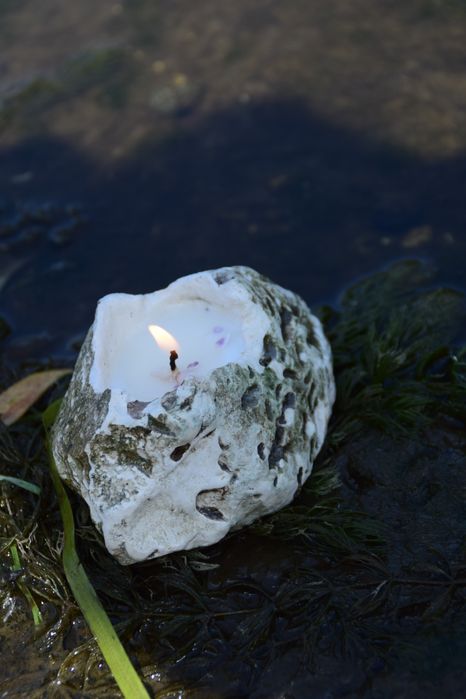 Прод Продам грецький свічка масажна
Збір цього року з 2 дерев 
І велик