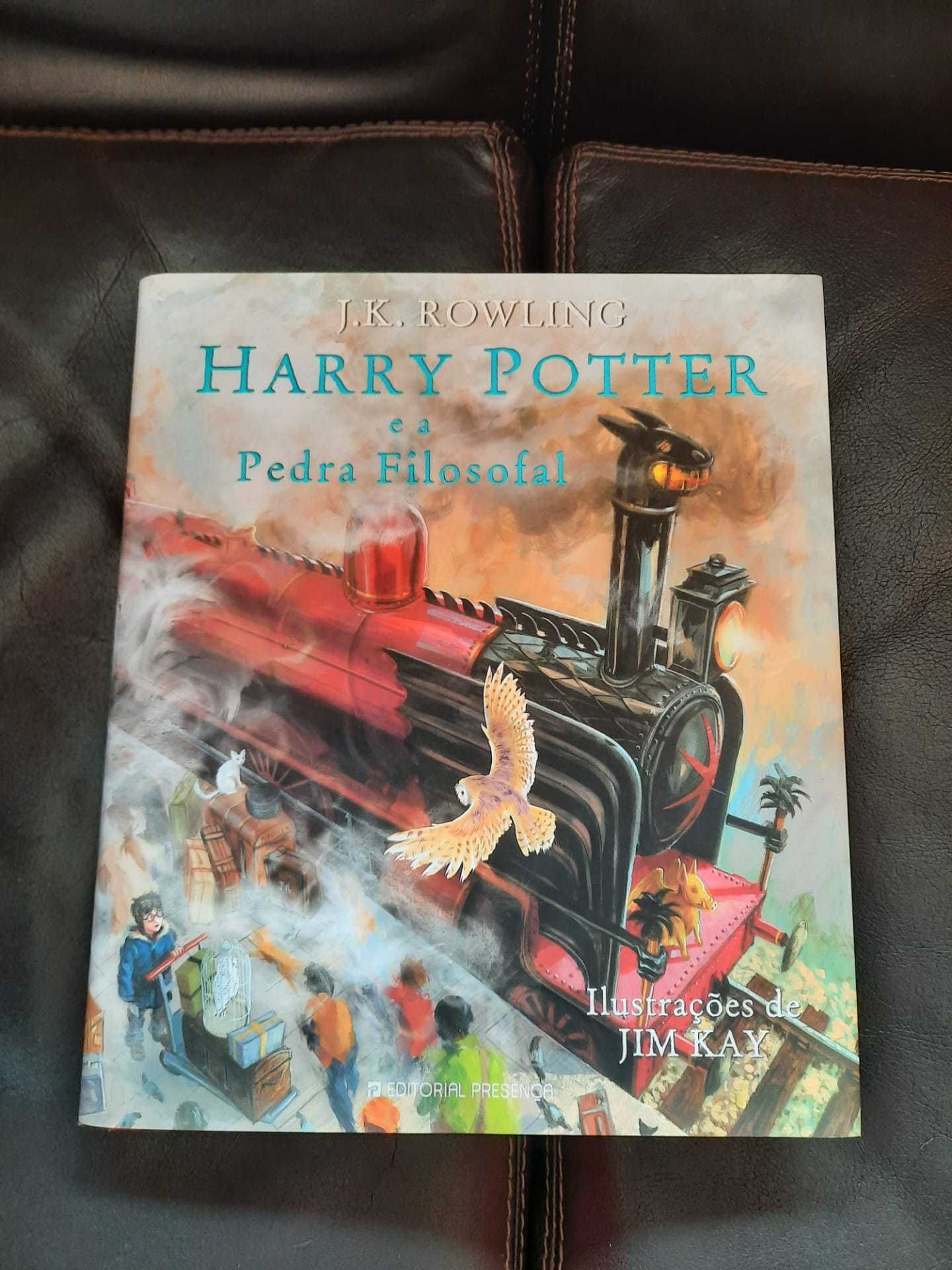 Harry Potter e a Pedra Filosofal - Livro Ilustrado