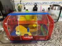 Gaiola Habitrail classic hamster