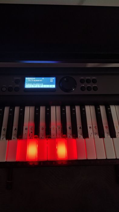 Sprzedam Keyboard Casio Lk-s450 prawie nie używany.
