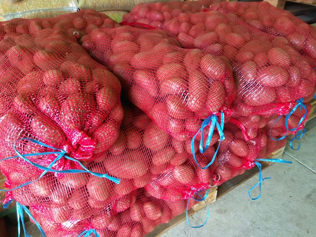 Batata vermelha nova nacional 20kg