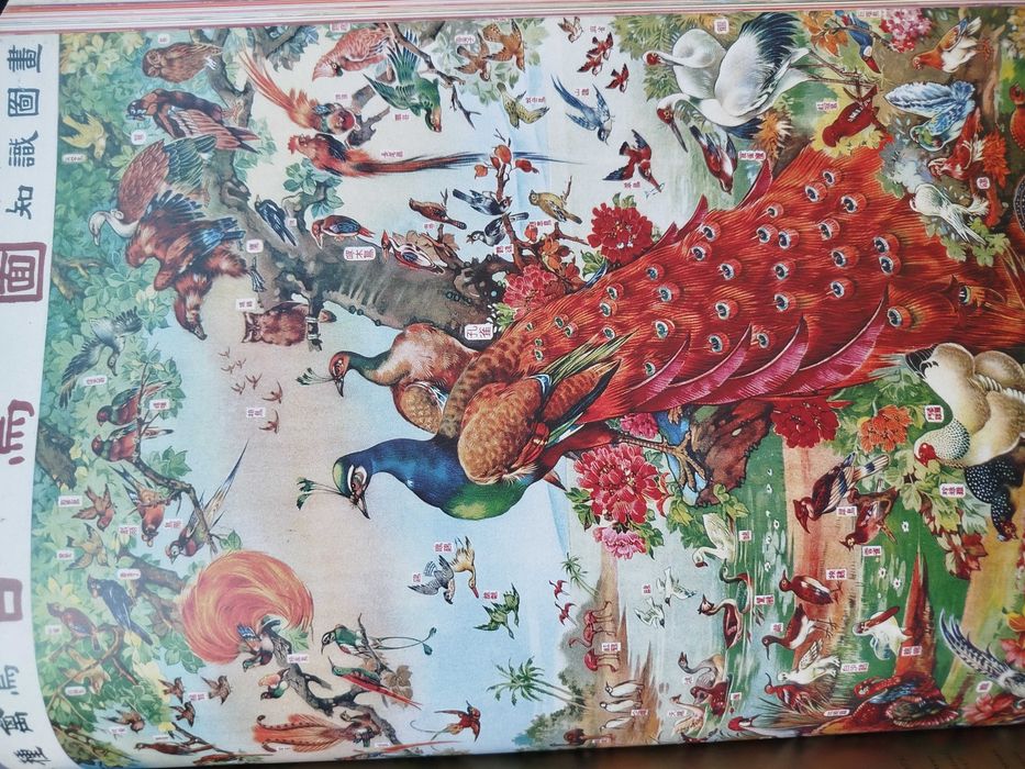 Chinese Propaganda Posters 1921/ 1971