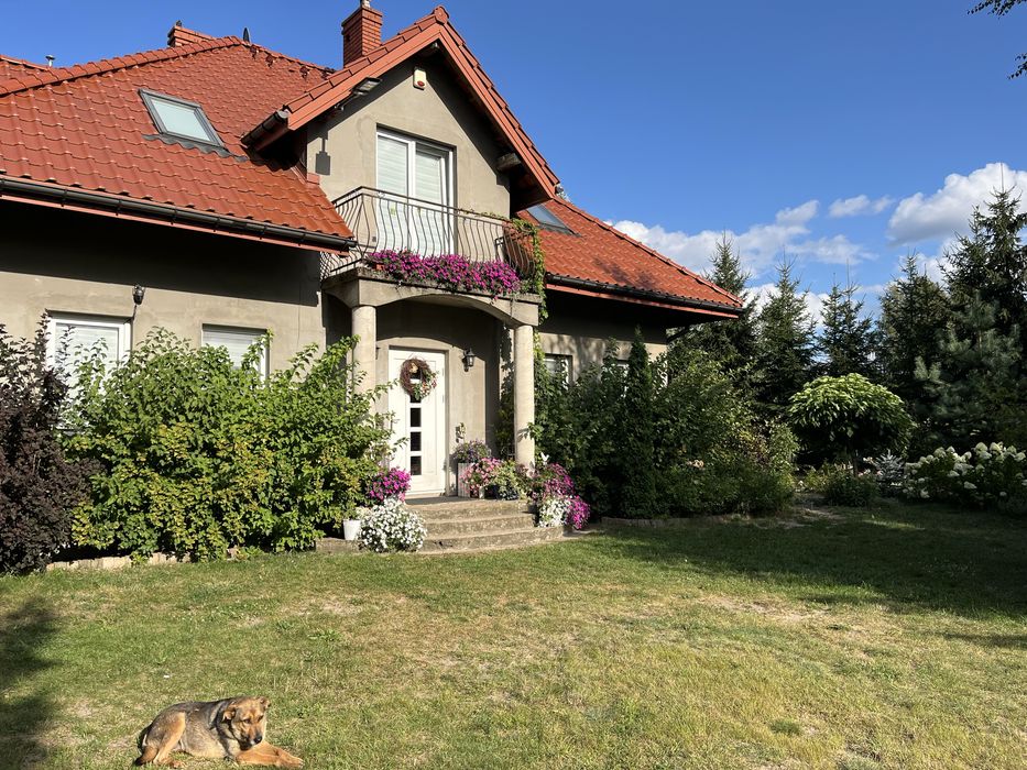 Nieruchomość pod agro lub usługi duży ogród