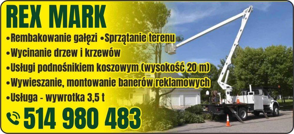 Wycinka drzew czyszczenie działek rebakowanie  przycinanie żywopłotu