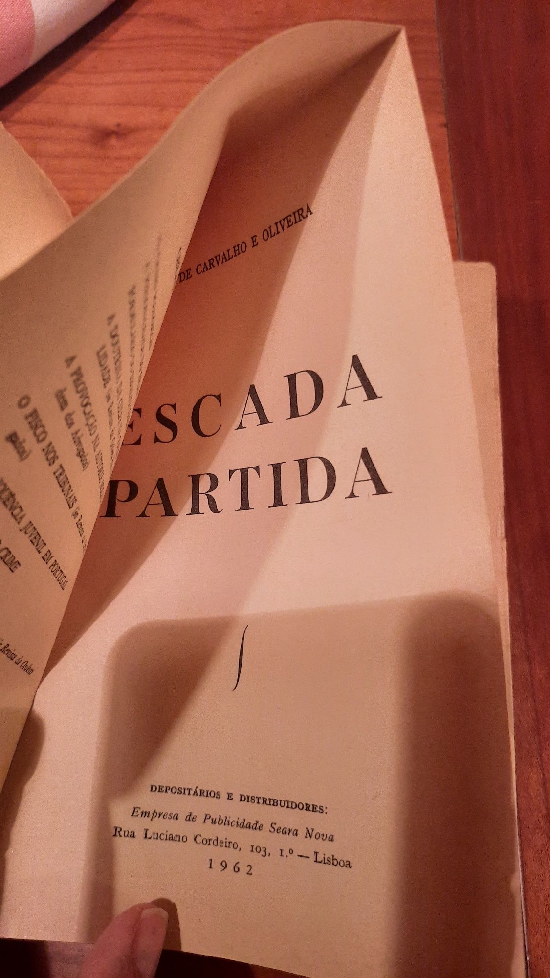 Escada partida Luís de Carvalho e Oliveira