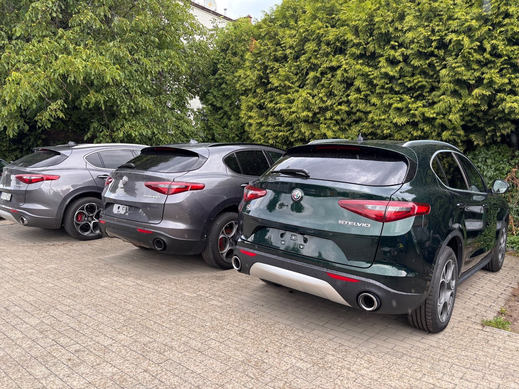 Alfa Romeo Stelvio Posiadam w ofercie różne wersje Alfa Stelvio 2.0 Q4