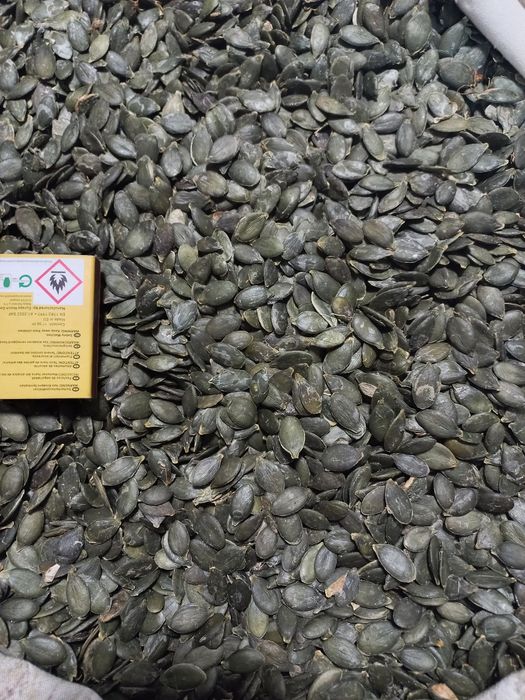 Насіння гарбуза голе харчове