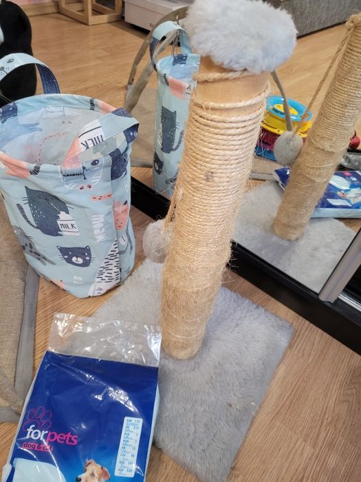 zestaw dla kota drapak