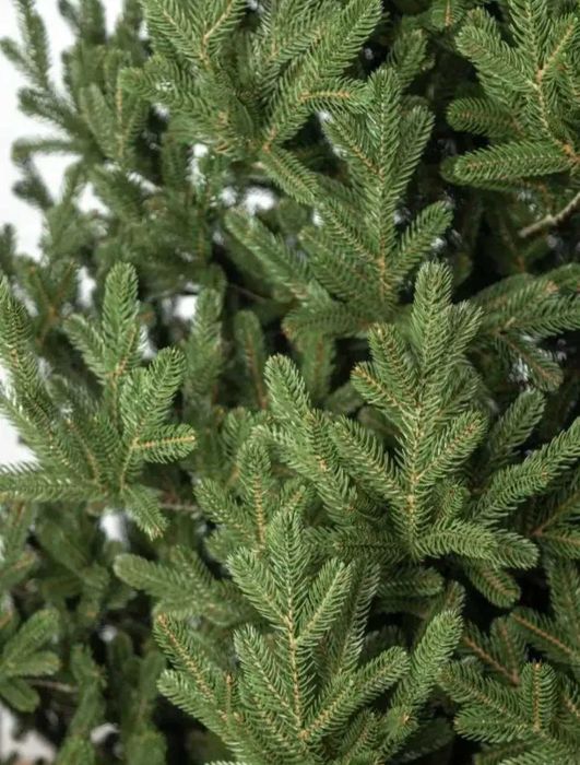 Ялинка Лита "Віденська" Елітна Зелена розмір 1.8м