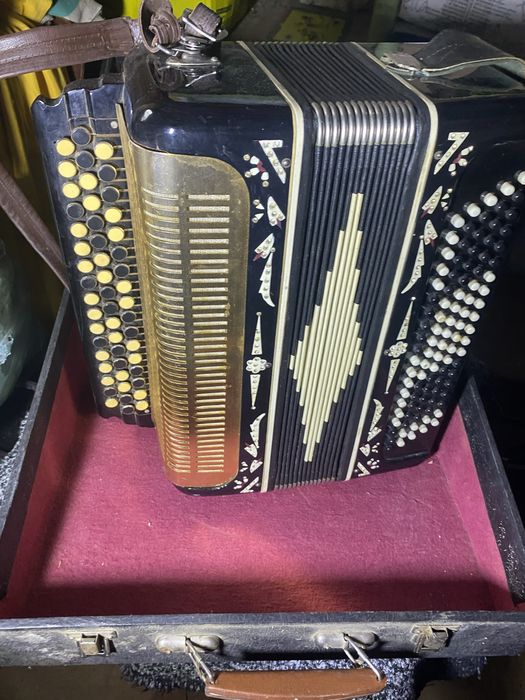 Рабочий баян в чемодане