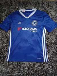 Koszulka Adidas Chelsea