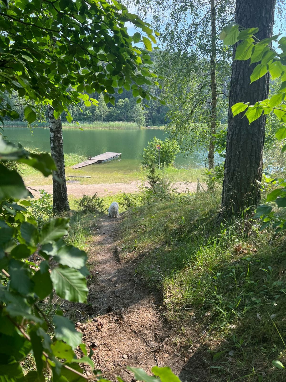 Domek letniskowy nad jeziorem Bory Tucholskie