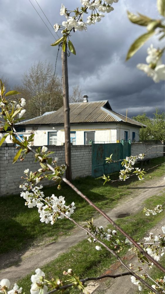 Будинок під житло і дачу в Анісові