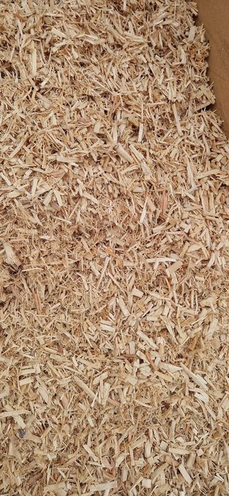 Sucha zrębka sosnowa czysta trociny trocina zrebki