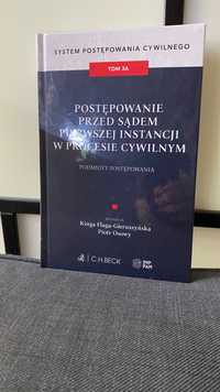 Postępowanie przed sądem pierwszej instancji w procesie cywilnym