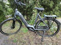Batavus velder bosch actve plus nie gazelle trek koga