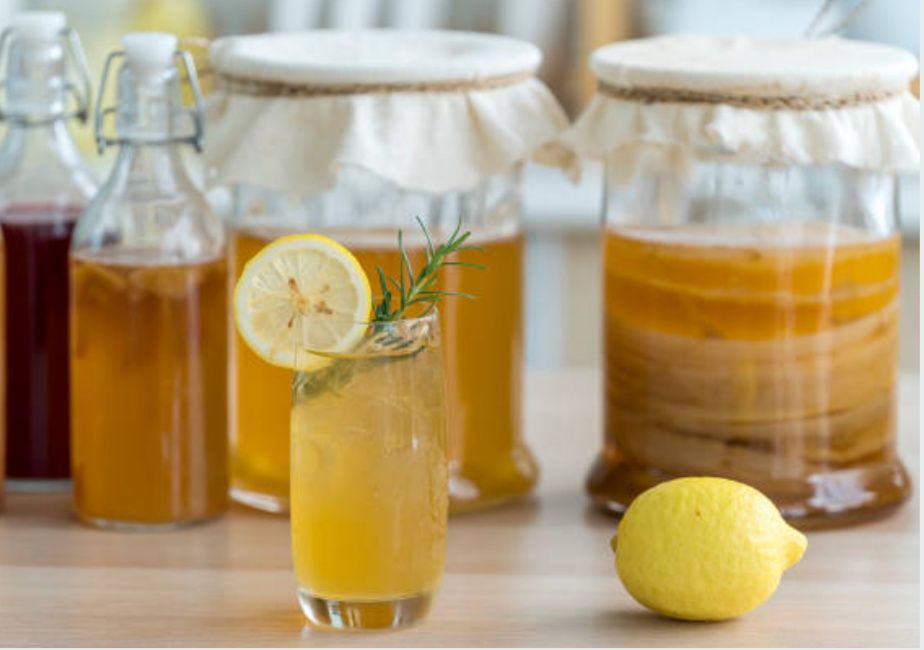 Grzybek herbaciany Kombucha+starter