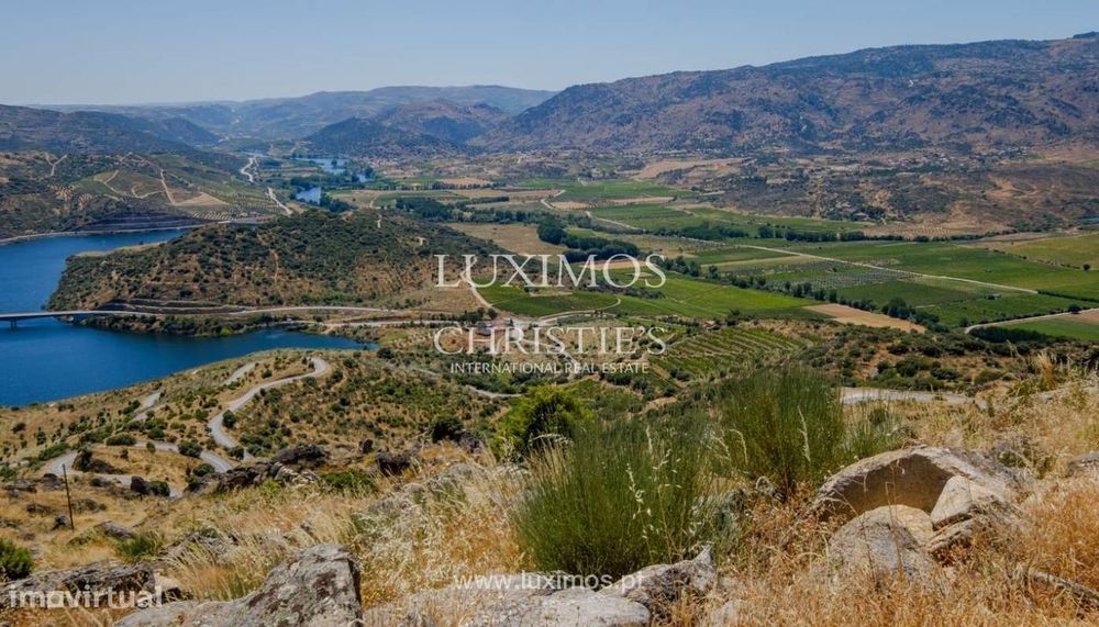 Venda: propriedade agrícola na região do Douro Superior, Torre de Mo