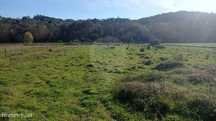 Terreno  para venda