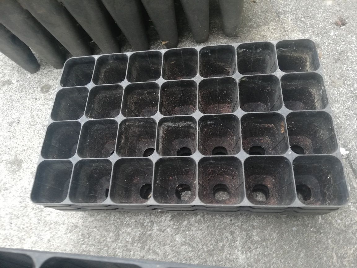 Germinador de sementes