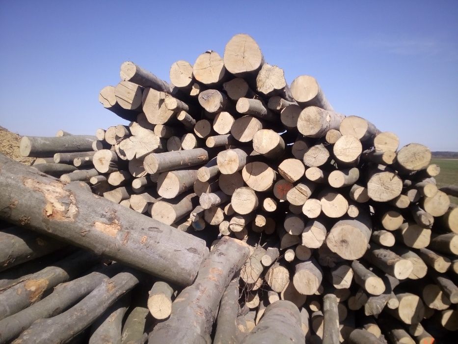 Drewno opałowe bukowe